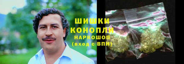 стаф Горнозаводск